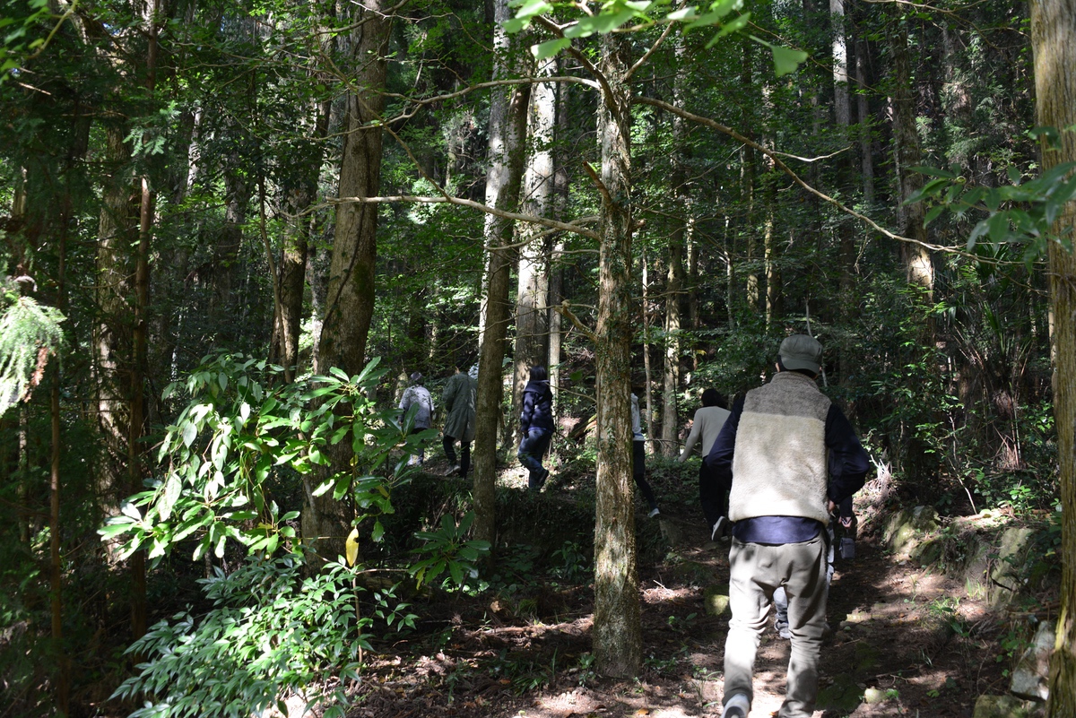 DESIGNEAST Revisited