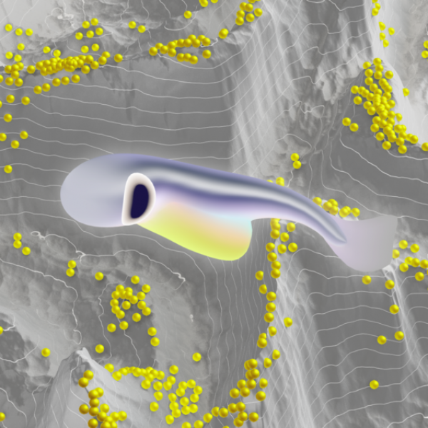 「よさ」の峰に登る<br />
