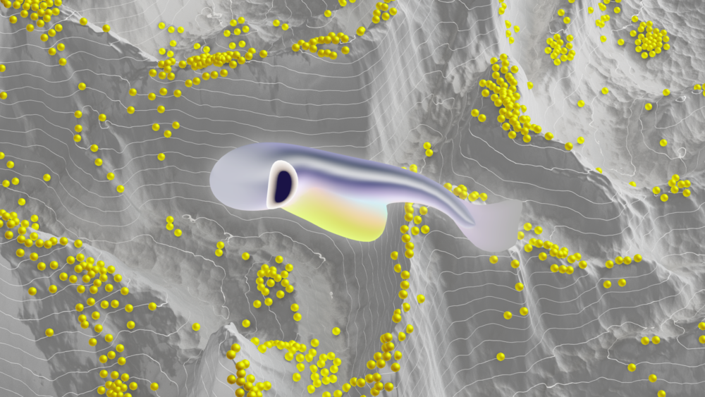 「よさ」の峰に登る