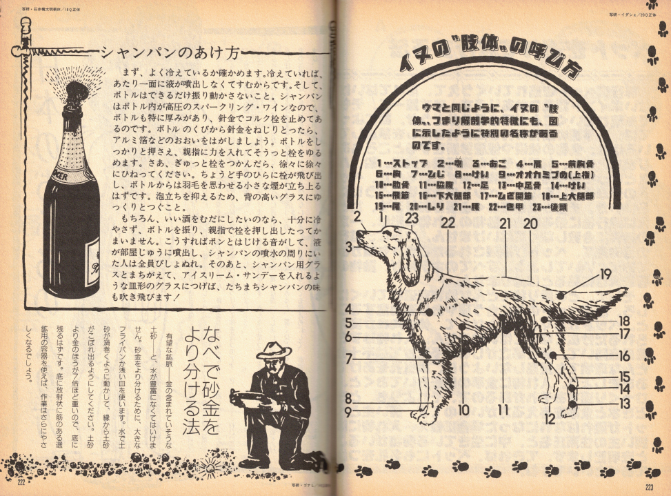 ダイニッポン回顧とミライ